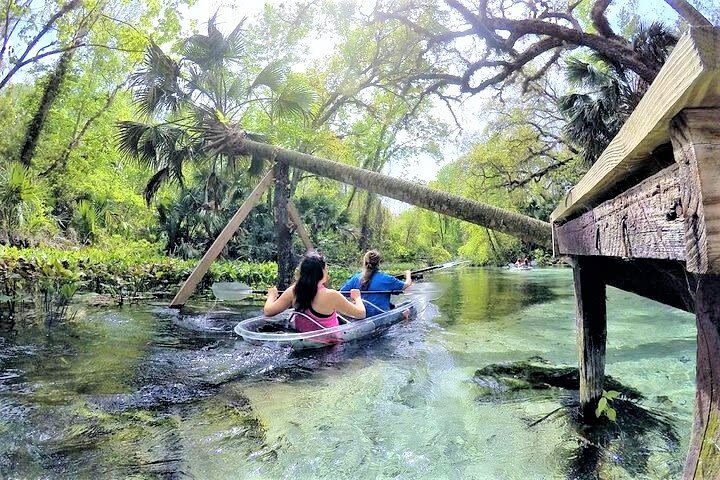 2-Hour Glass Bottom Guided Kayak Eco Tour in Rock Springs (Small-Group) image