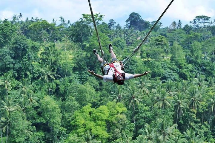 Full Day Bali Swing with Ubud and Waterfall Tour image