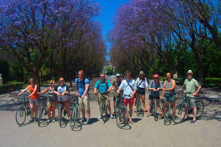 Athens Scenic Electric Bike Tour image