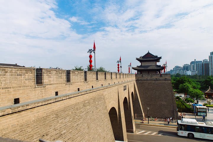 Xian Terracotta Warriors and City Wall Private Day Tour image