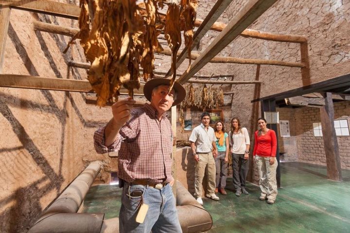 Tobacco Route Full-Day Tour from Salta image