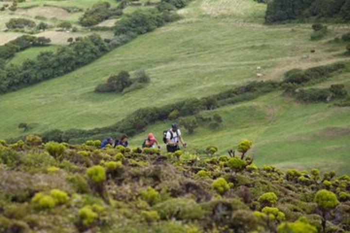 Hiking the 10 Volcanos Trail in Faial Island image