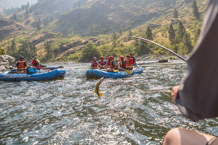 Hell’s Canyon White-Water Rafting 3-Day Trip image