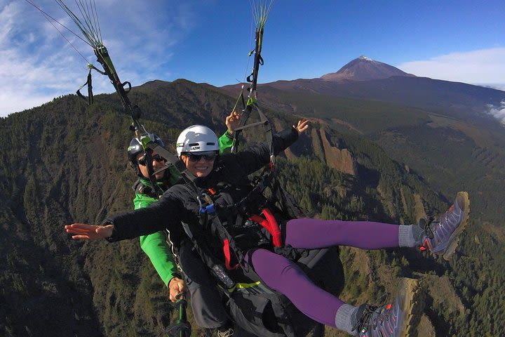 Teide, Naional Park - Izaña 2.200 m. image