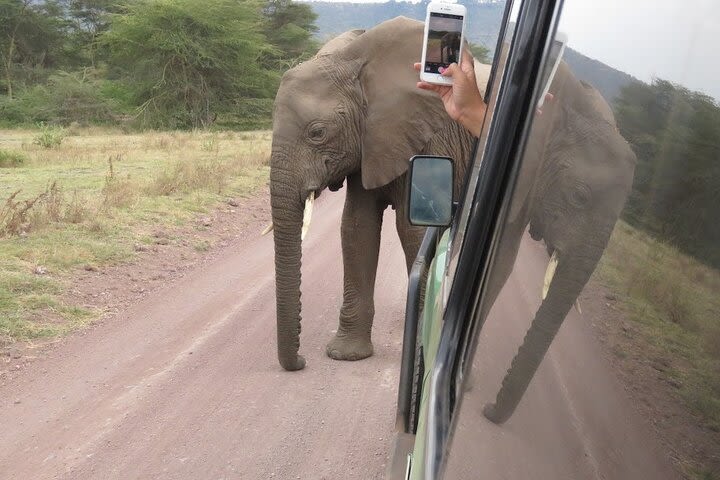 2 Days Tarangire and Ngorongoro Crater Tour image