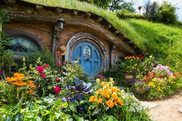 Auckland to Rotorua via Hobbiton Movie Set One-Way Private Tour image