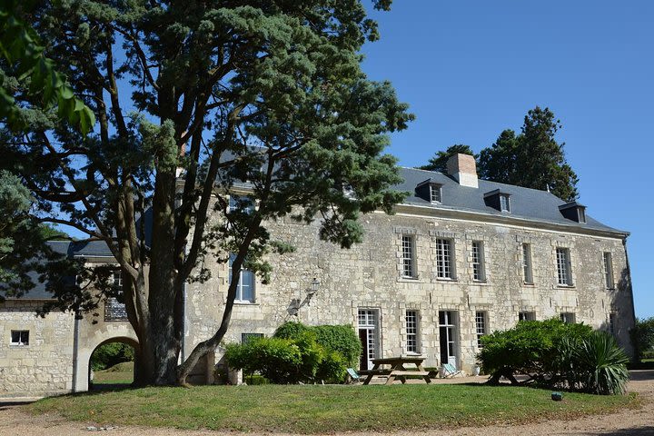 Private tour of the Loire Valley wines image