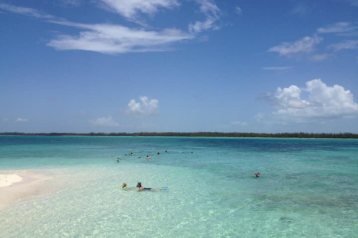 Freeport Snorkeling to Peterson Cay National Park image