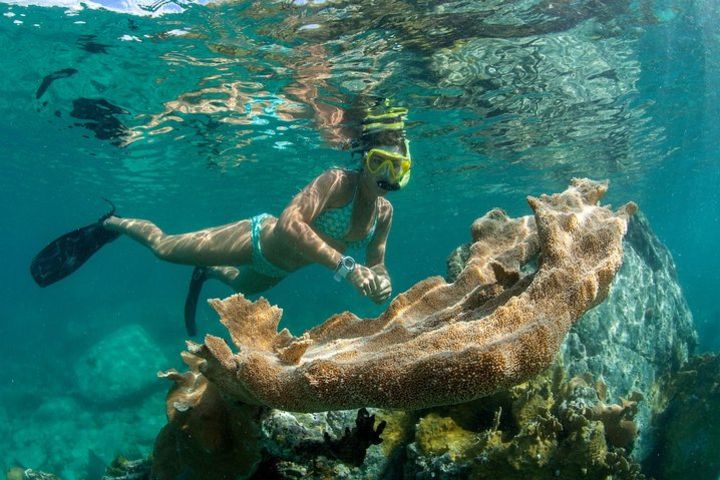 St. John Full-Day Lime Out Snorkel Sail w/ Taco Lunch & Open Bar - Westin image