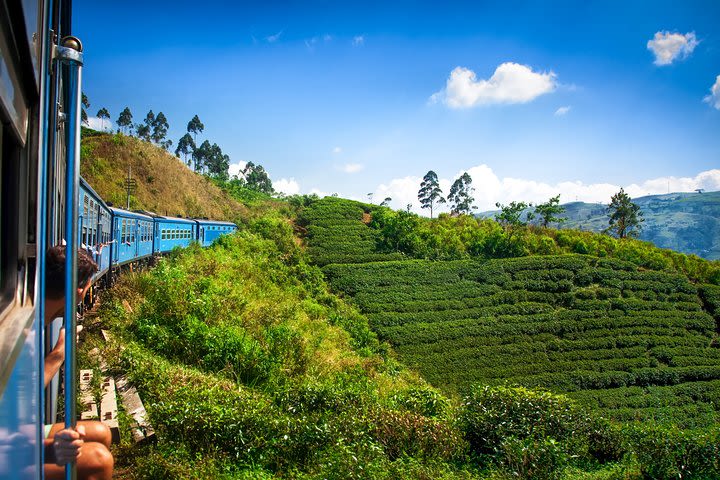 Nuwara Eliya from Kandy by Train  image