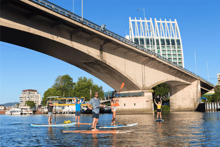 Tour al atardecer en SUP o Kayak por el Río Valdivia image