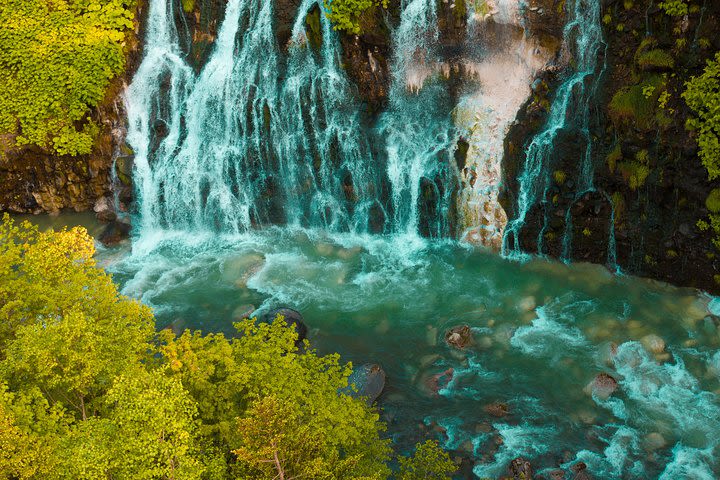 Farm Tomita, Blue Pond, and Shirahige Waterfall Private Tour with Licensed Guide image