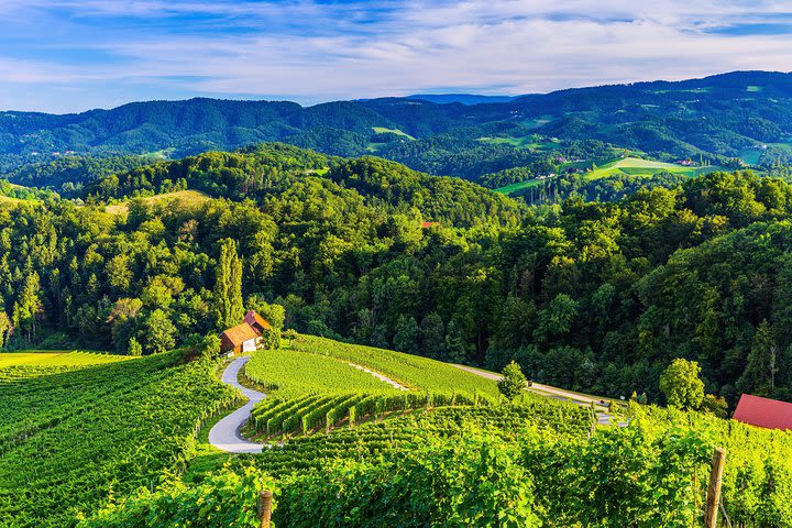 PRIVATE TOUR Maribor, Ptuj and Heart of the Vineyards from Ljubljana image