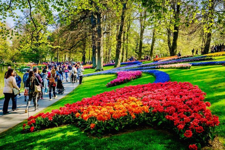 Private Tour to the Flower Auction and Keukenhof Flower Park (min 2 - max 7p)  image