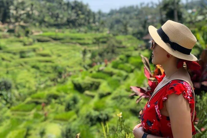 All-inclusive: The Top Places of Ubud with Jungle Swing image