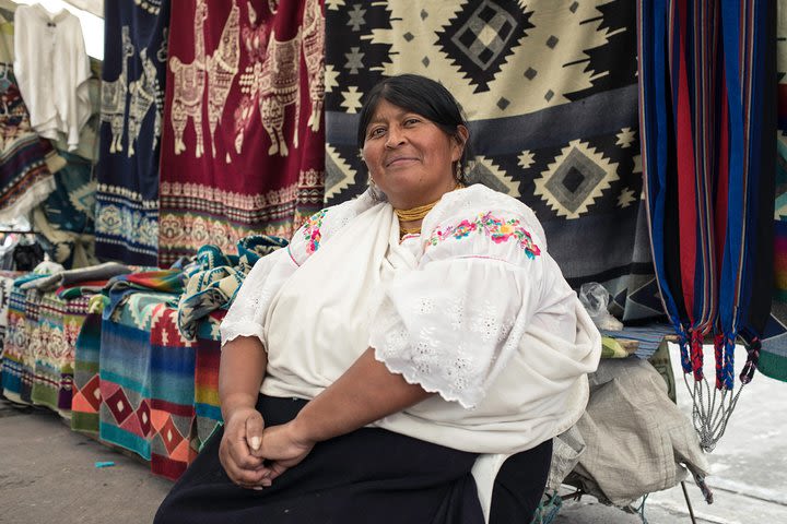 Quito to Otavalo Transfer in Fantasy Bus image