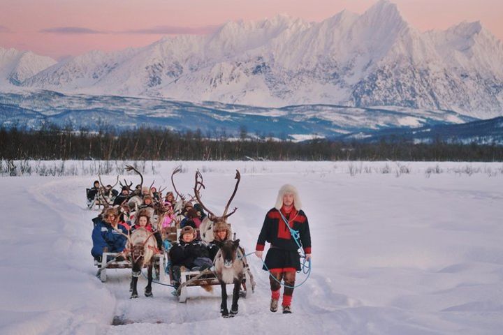 Reindeer Sledding and Sami Culture Including Lunch in Tromso image