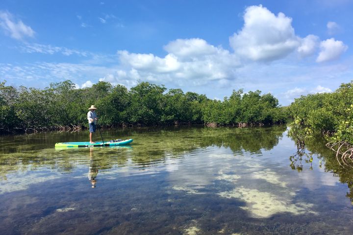 Jones Lagoon Eco-Adventure-Paddle Clear, Calm Waters image