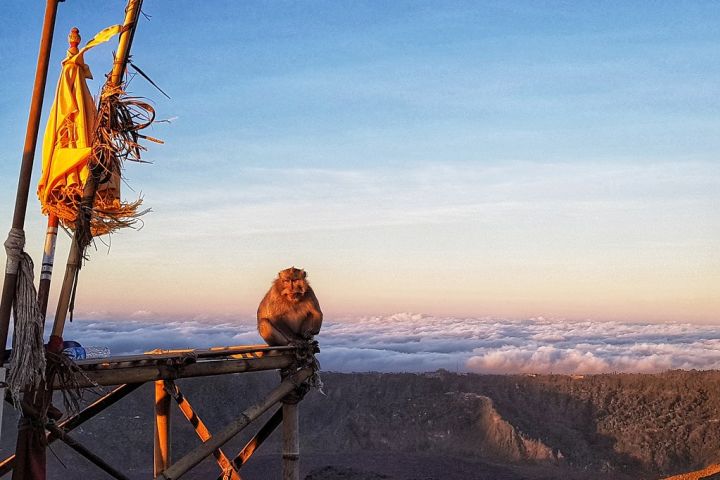 Mount Batur Sunrise Hiking & Breakfast image