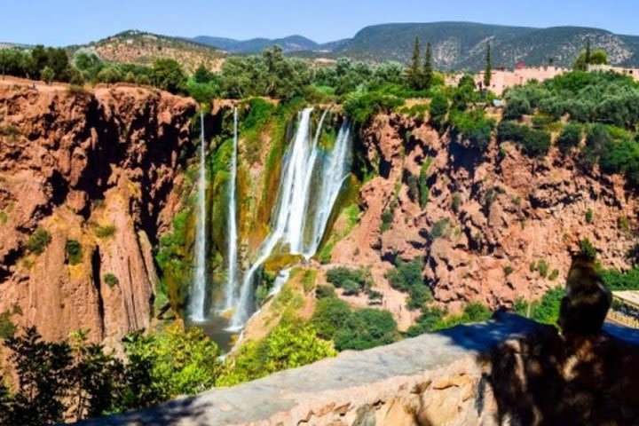 Private day trip to Ouzoud Waterfalls from Marrakech image