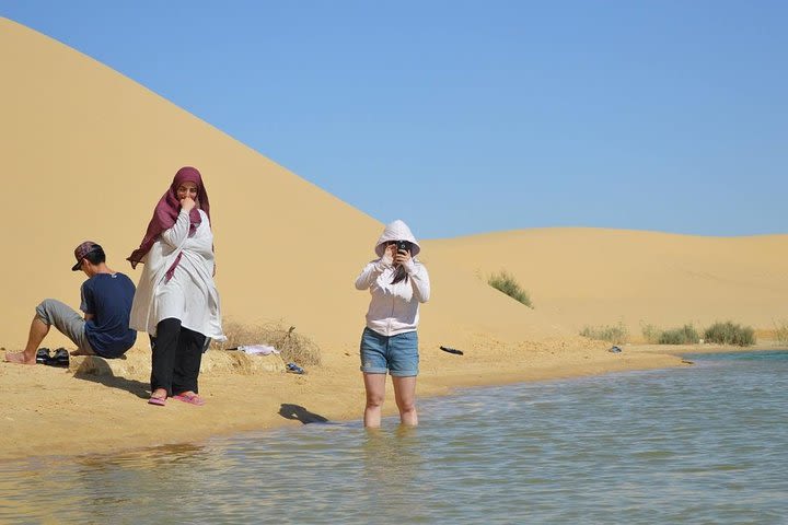 Full Day Trip to Fayoum Oasis from Cairo image