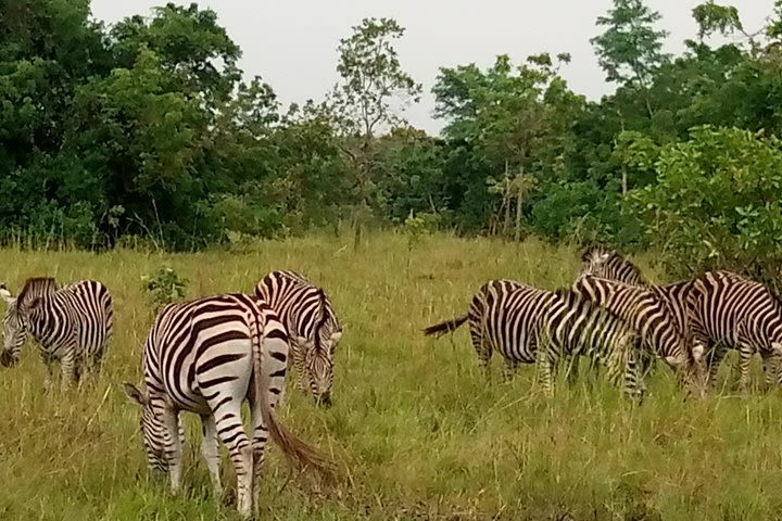 Shai Hills Safari & Aburi Gardens Tour image