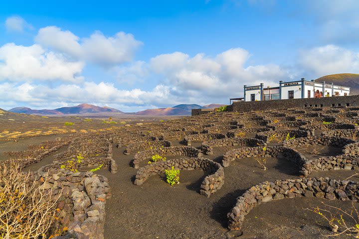 Lanzarote Volcano and Wine Region Tour from Fuerteventura image