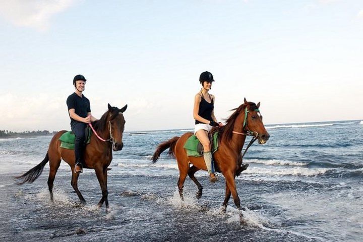 Bali Horse Riding with Spa Experience image