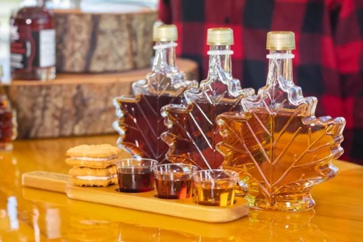 Explore Niagara: U.S. & Canadian Falls in One Day  image