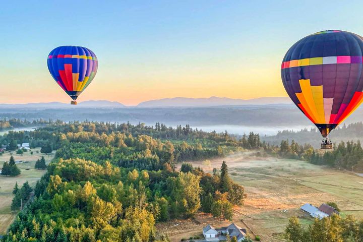 Sunrise Hot Air Balloon Ride Over Walla Walla Wine Country image