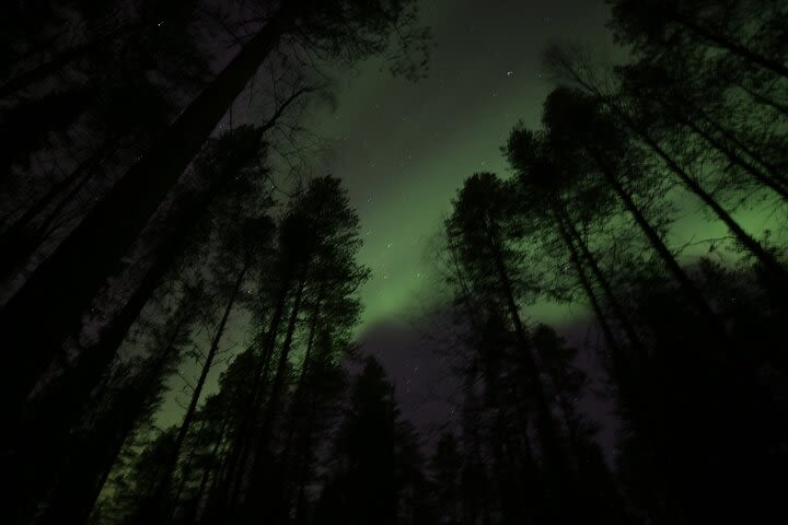 Chasing the Magic Northern Lights in Rovaniemi in a Small Group image