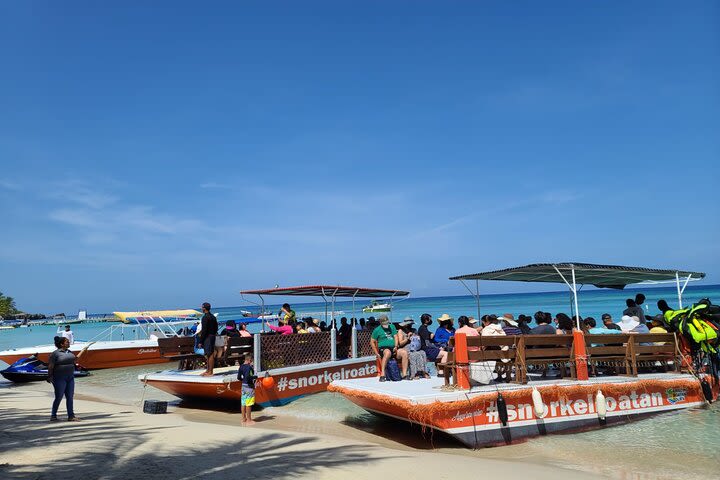 Snorkeling adventure plust monkeys and sloth hangout in roatan  image