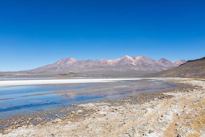 Day Tour to Laguna de Salinas image