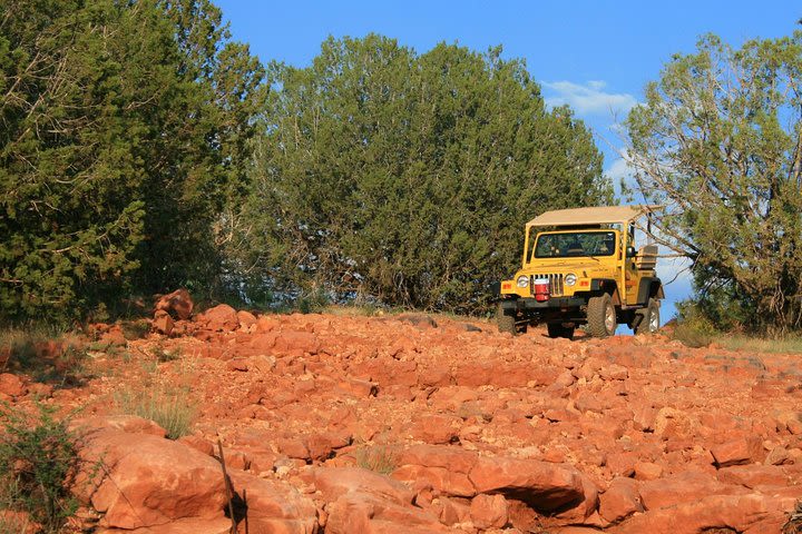 Private Mogollon Rim Jeep Tour from Sedona image