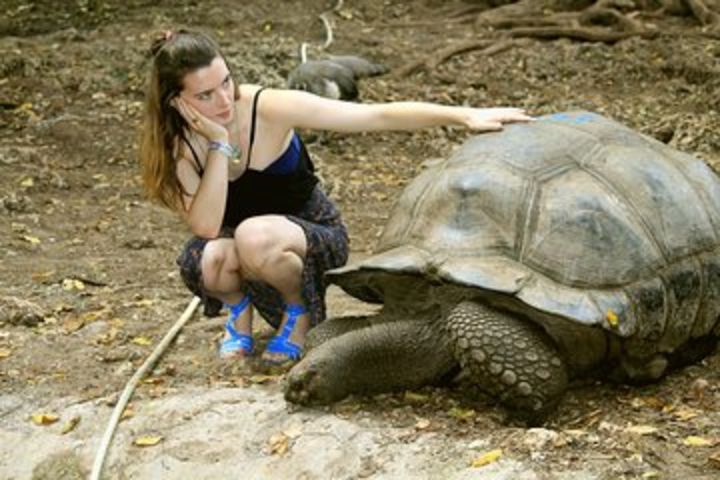 Prison Island tour image