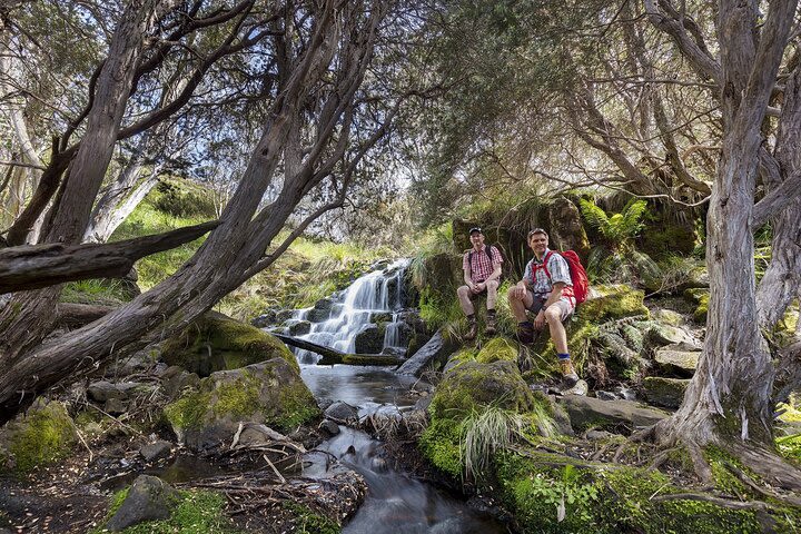 LGBT+ Friendly 12-Hour Great Ocean Road Private Tour  image