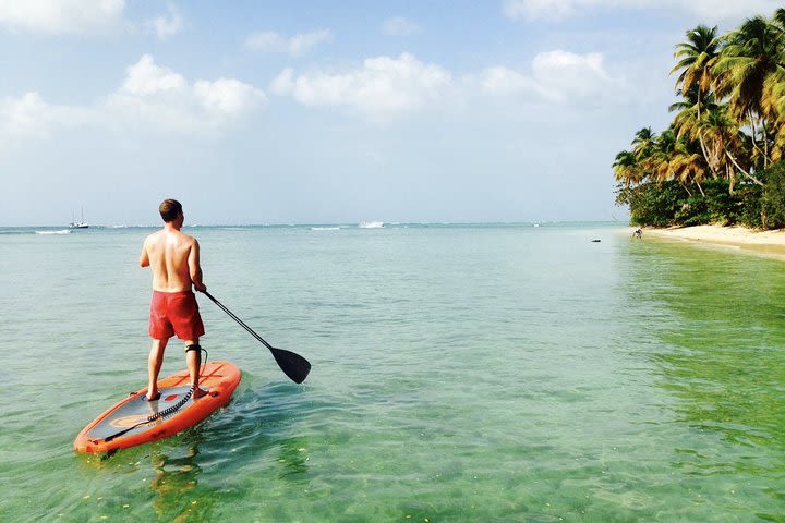 Stand Up Paddle Lessons image