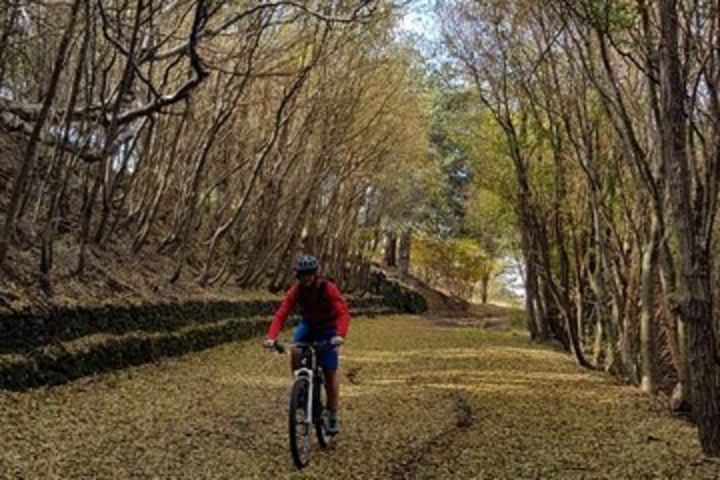 Full circuit of Etna by MTB small group image