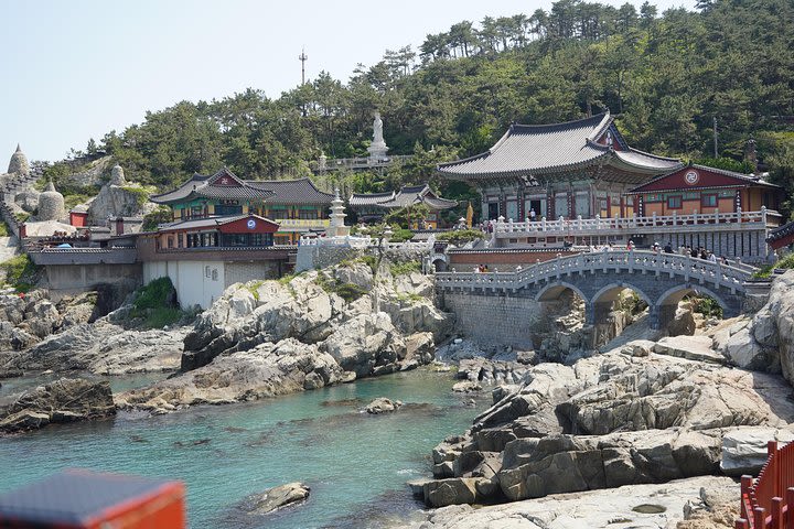 Busan Custom-made Car Tour (Tour that allows you to freely explore Busan city, Private Car Tour) image