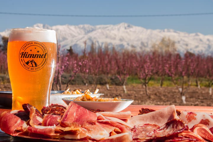 Mendoza Holidays New Brewery Tour image