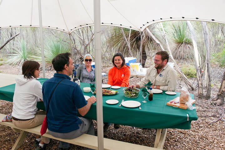 Full day Seal Bay Experience departing from Kangaroo Island image