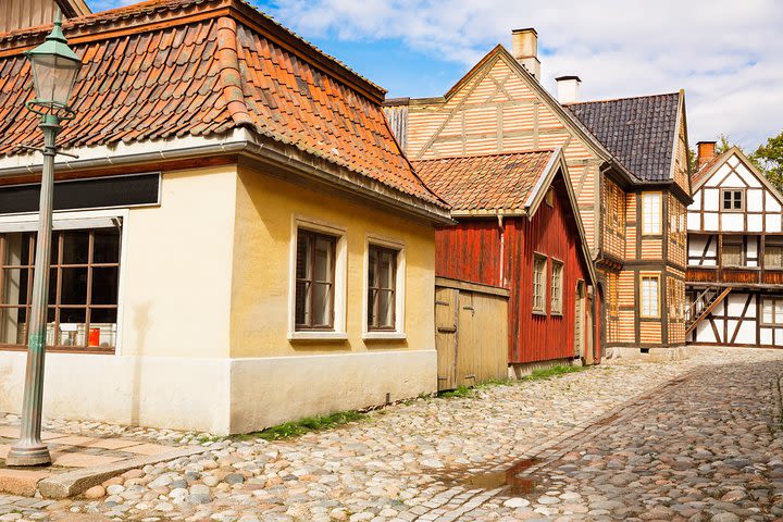 Viking Ship and Open-Air Museum Private Tour image