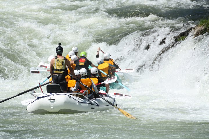 Half Day Rogue River White Water (Class I- IV) image