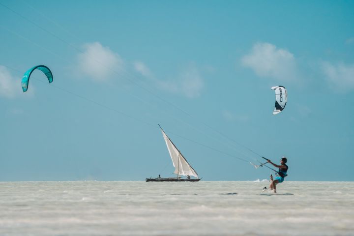 Zanzibar & Tanzania Wildlife Adventure image