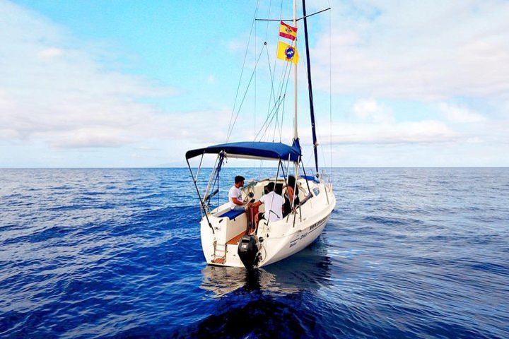 Luxury Private Sailing Yacht with Dolphin Watching image