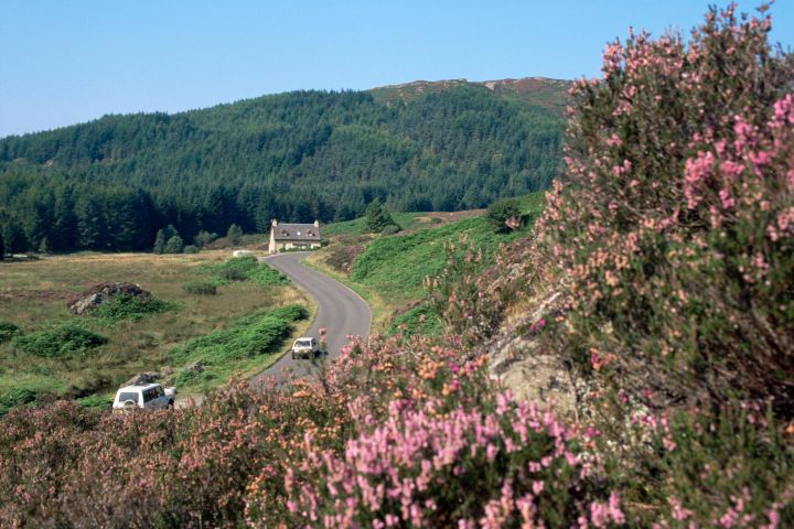 Loch Lomond & Stirling Castle Tour image