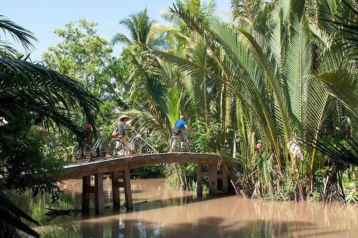 2-Day Private Tour to Mekong Delta Homestay in Vinh Long from Ho Chi Minh City image