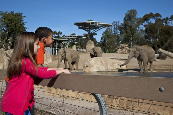 San Diego Zoo 1-Day Pass image