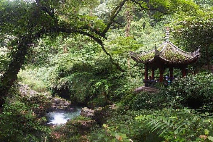 Mt Emei 1 day tour image