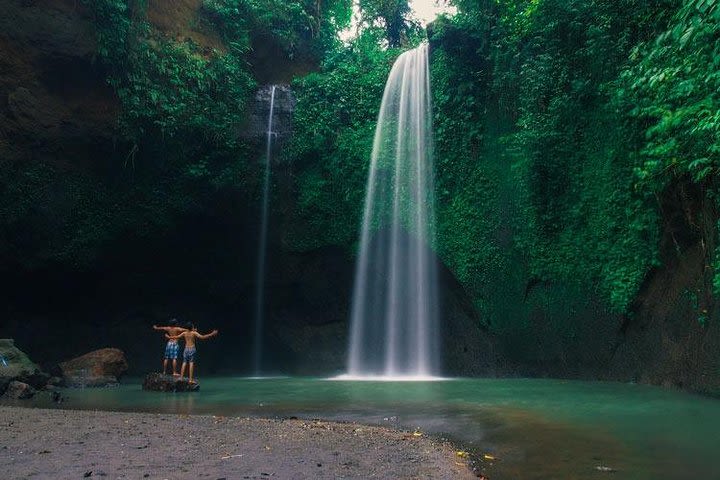 Bali - Highlight Ubud Waterfall Tour All Entrance Ticket Inclusive. image